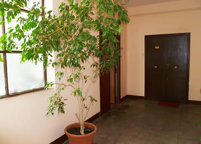 Bed & Breakfast Alelu Roma